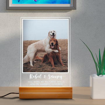 litzzy Personalized Pet Plaque Lamp, Memorial Pet Photo Night Lamp, Dog, Cat, Pet Loss Gifts, Memorial Standing Frame, Custom Pet Passing Away Night Light Gift, Gift For Pet Lovers, Dog mom Dog Dad Gift Night Light Rectangle base 6x9  