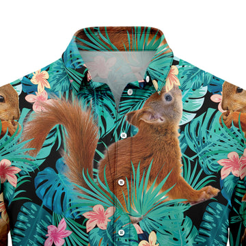 litzzy Squirrels Tropical T0607 Hawaii Shirt - Litzzy Shirt Hawaiian Hawaii Shirt For Summer Hawaii Shirt   