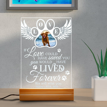 litzzy Custom Pet Photo Light Lamp, Pet Memorial Standing Frame Night Light, Anniversary Gift For Dog Mom Dog Dad, Personalized Pet Photo Night Light, Pet Lover Gift Memorial Gift Night Light Rectangle base 6x9  