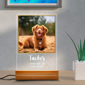 litzzy Memorial Pet Photo Night Lamp, Plaque Lamp, Dog, Cat, Pet Loss Gifts, Memorial Standing Frame, Pet Passing Away Night Light Gift, Gift For Pet Lovers, Dog mom Dog Dad Gift Night Light Rectangle base 6x9  