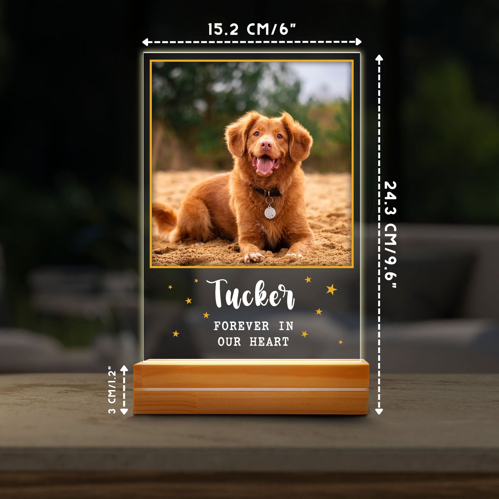 litzzy Memorial Pet Photo Night Lamp, Plaque Lamp, Dog, Cat, Pet Loss Gifts, Memorial Standing Frame, Pet Passing Away Night Light Gift, Gift For Pet Lovers, Dog mom Dog Dad Gift Night Light   