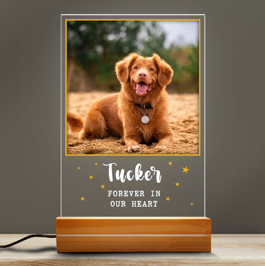 litzzy Memorial Pet Photo Night Lamp, Plaque Lamp, Dog, Cat, Pet Loss Gifts, Memorial Standing Frame, Pet Passing Away Night Light Gift, Gift For Pet Lovers, Dog mom Dog Dad Gift Night Light   