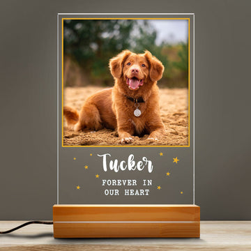 litzzy Memorial Pet Photo Night Lamp, Plaque Lamp, Dog, Cat, Pet Loss Gifts, Memorial Standing Frame, Pet Passing Away Night Light Gift, Gift For Pet Lovers, Dog mom Dog Dad Gift Night Light   