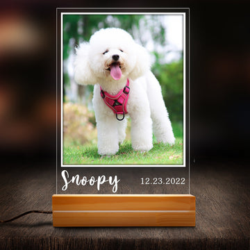 litzzy Custom Pet Photo Lamp, Custom LED Dog Lamp, Personalized Pet Photo Night Light, Pet Lover Gift Memorial Gift, Pet Loss Gift Night Light   
