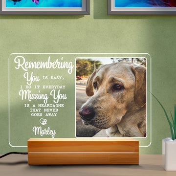 litzzy Personalized Dog Memorial Night Light, Dog Mom Night Light Gift, Dog Lovers Gift, RGB Led Night Light Lamp, Custom Photo Night Lights Pet Loss Gift, Sympathy Gift For Dog Mom Dog Dad Night Light Rectangle base 6x9 Inches  