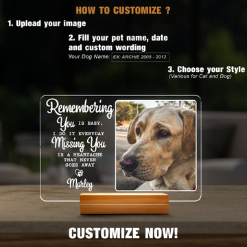 litzzy Personalized Dog Memorial Night Light, Dog Mom Night Light Gift, Dog Lovers Gift, RGB Led Night Light Lamp, Custom Photo Night Lights Pet Loss Gift, Sympathy Gift For Dog Mom Dog Dad Night Light   