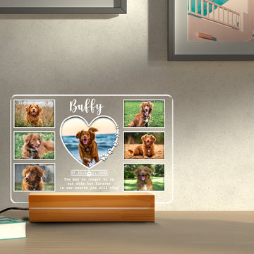 litzzy Personalized Dog Memorial Night Light, Dog Mom Night Light Gift, RGB Led Night Light Lamp, Custom Photo Night Lights Pet Loss Gift, Dog Lover Gift, Sympathy Gift Night Light   