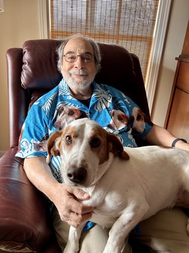 litzzy Custom Leaves Pattern Short-Sleeve Hawaiian Shirt (Sea Blue Color) Hawaii Shirt   