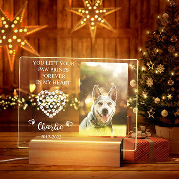litzzy Custom Pet Memorial Night Light Personalized Bedroom Decor Night Light   