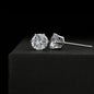 litzzy Cubic Zirconia Earrings Jewelry Default Title  