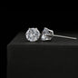litzzy Cubic Zirconia Earrings Jewelry Default Title  