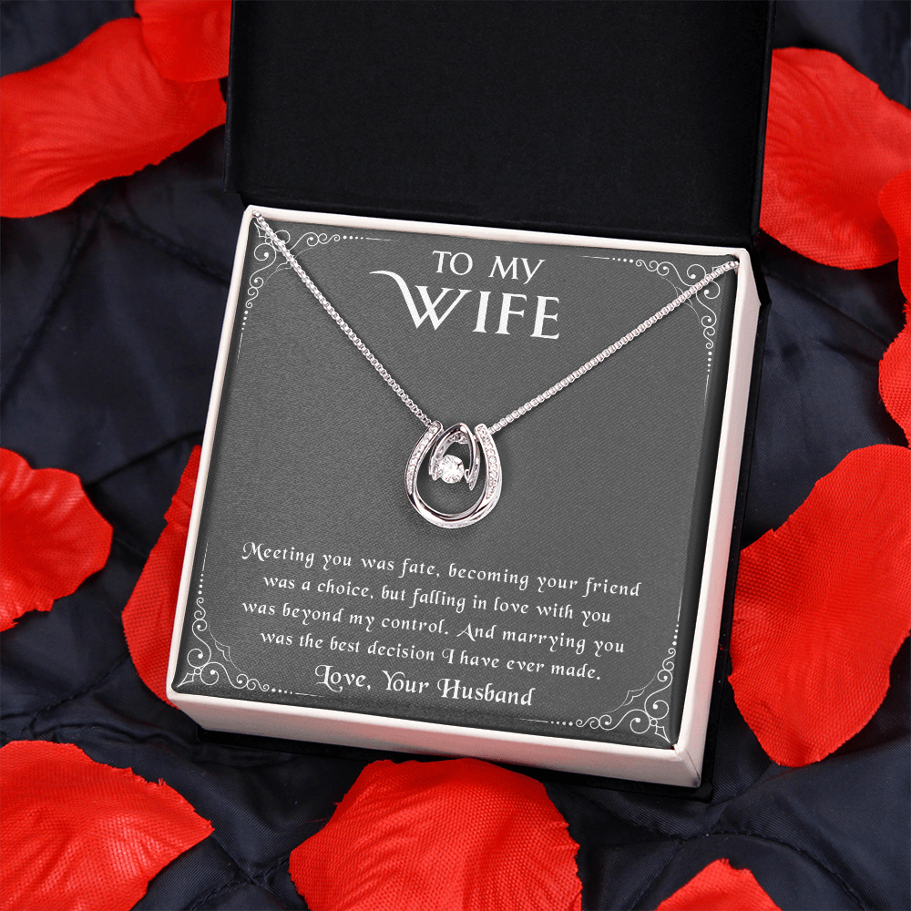 litzzy To my Wife - Meeting you was fate - Lucky in Love Necklace - Necklace Gift For Her, Wife, Girlfriend, Anniversary, Wedding, Valentine, Birthday with Message Card Jewelry   