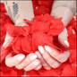 litzzy Rose Petals Jewelry Default Title  