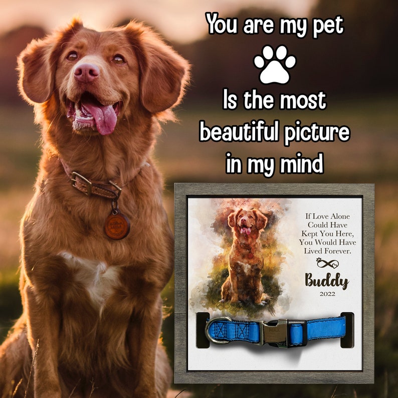 litzzy Memorial Pet Collar Sign, Watercolor Portrait , Loss of Dog, Cat Loss Gifts, Pet Collar Holder, Memorial Standing Frame, Bereavement Gifts Pet Picture Frame   