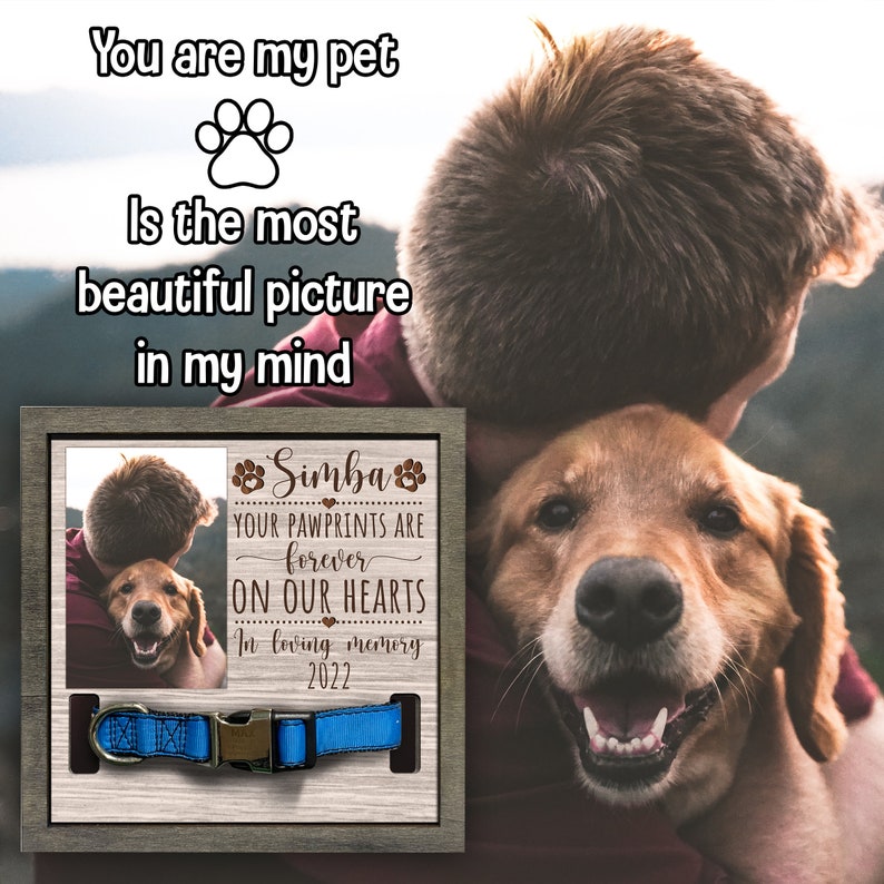 litzzy Dog Collar Memorial, Memorial Pet Collar Sign, Dog Loss Gift, Pet Collar Holder, Memorial Standing Frame, Sympathy, Bereavement Gifts Pet Picture Frame   