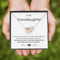 litzzy To My Granddaughter - Litzzy Interlocking Hearts Necklace - Necklace for Granddaughter from Grandparents Jewelry   