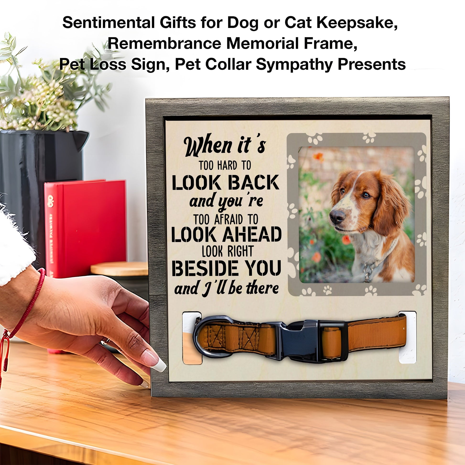 litzzy Custom Dog Collar Remembrance Frame | Personalized Dog Memorial Frame | Custom Collar | Pet Loss Memorial | Pet Collar Holder | Pet Keepsake Pet Picture Frame   